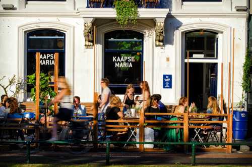 Kaapse Maria
